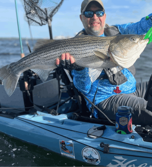 Trophy Striped Bass!